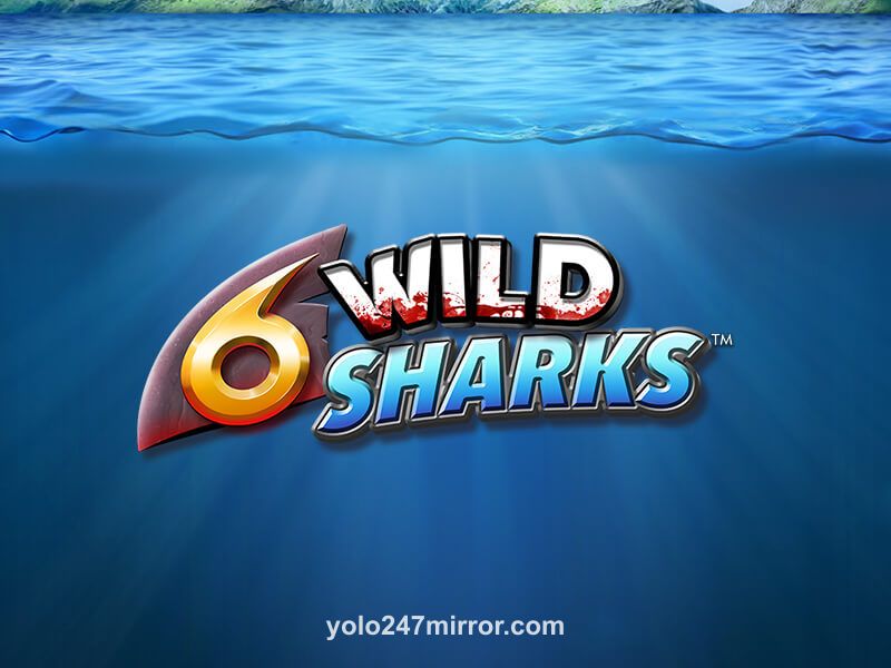 6 Wild Sharks